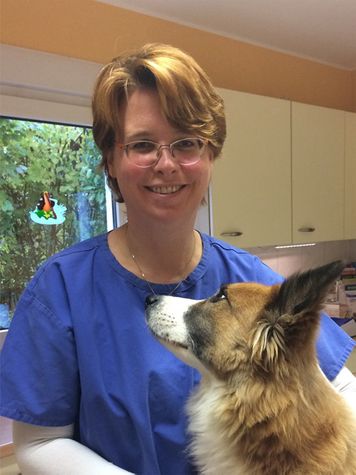 Tierarzt Barsinghausen Kleintierpraxis Maren Kuschel